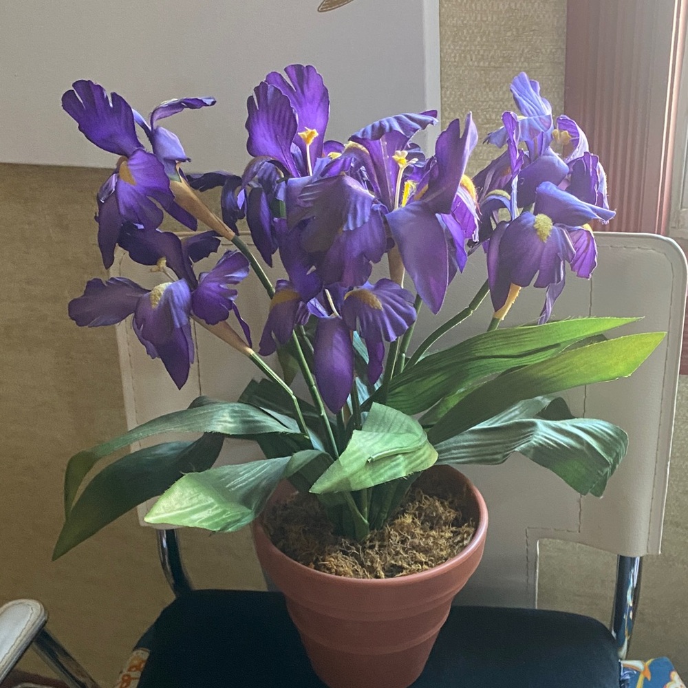 Realistic Purple Flowers Green Leaves In Pot Flower Arrangement